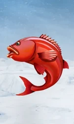 Ice Fishing